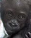 Userbild